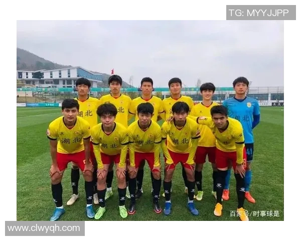 武汉足球队比赛经验分析及其对战绩的影响探讨